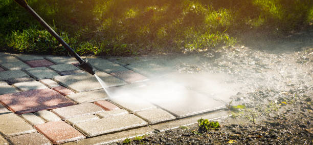 Best Animal Enclosure Cleaning  in Delta, UT